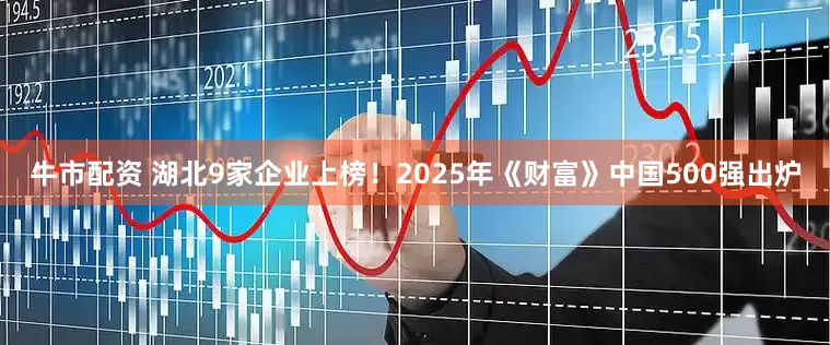 牛市配资 湖北9家企业上榜！2025年《财富》中国500强出炉